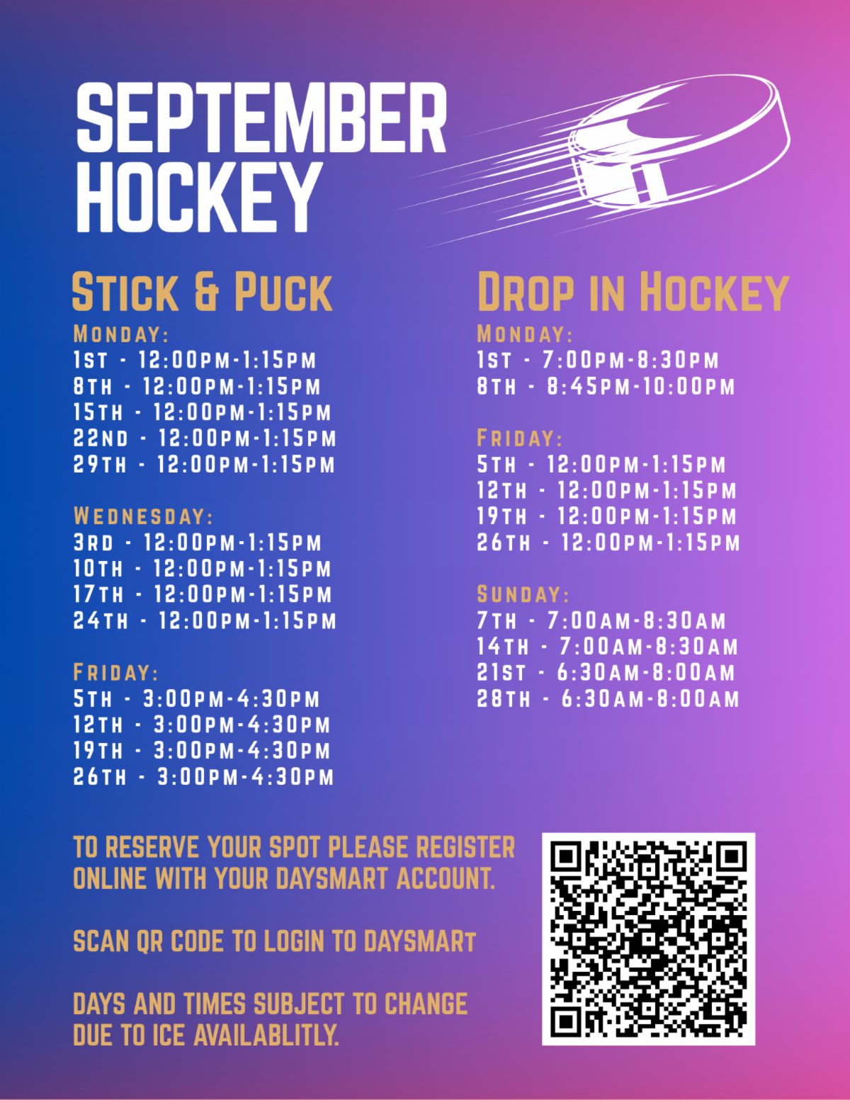 Hockey Drop In Stick _ Puck -2025-2