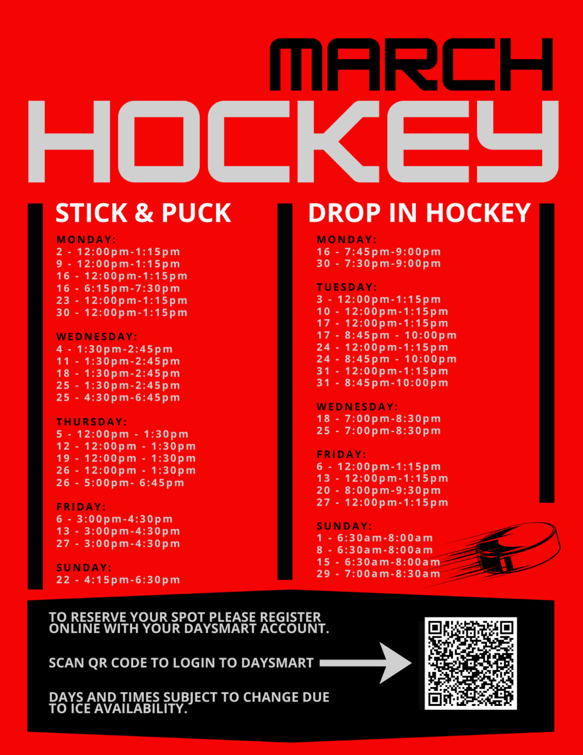 Hockey Drop In Stick _ Puck -2025-3