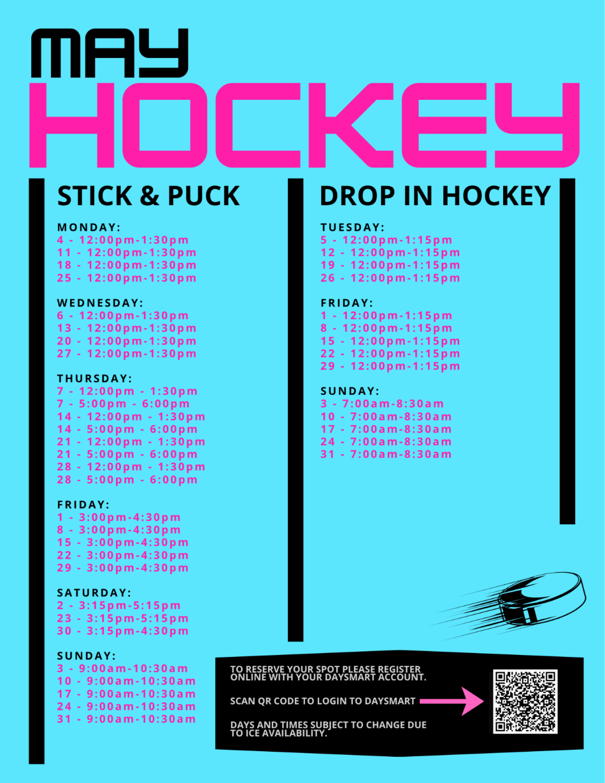 Hockey Drop In Stick _ Puck -2025-8
